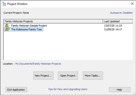 Project Window